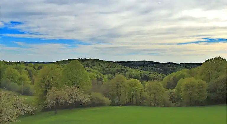Ferielejlighed i Wichsenstein
