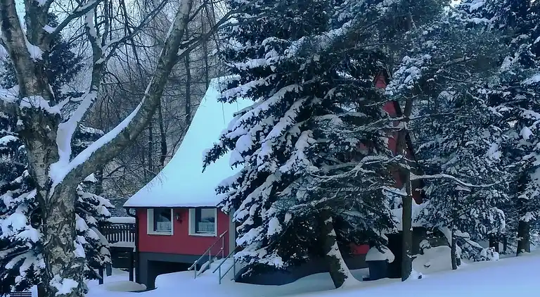 Sommerhus i Mezihoří