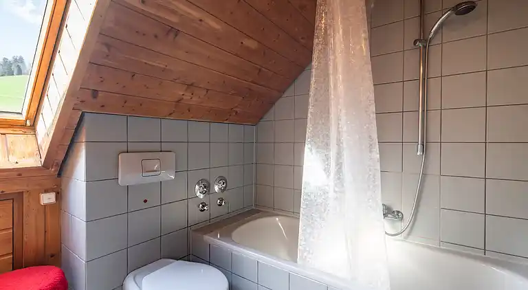 Apartment in Todtnauberg