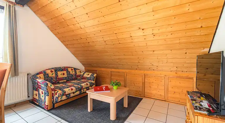 Apartment in Todtnauberg