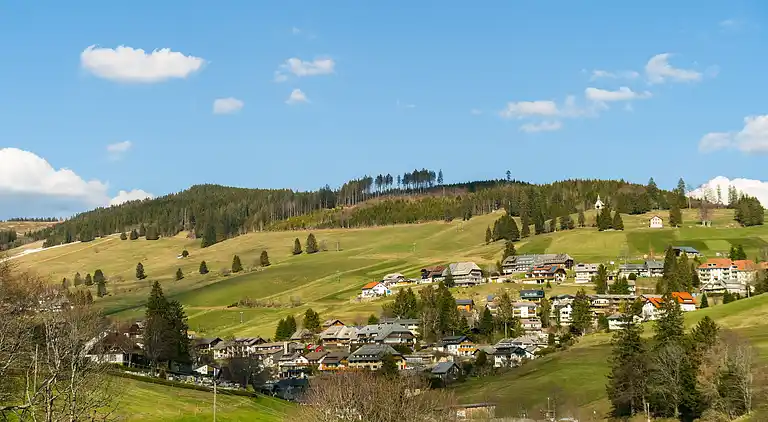 Apartment in Todtnauberg