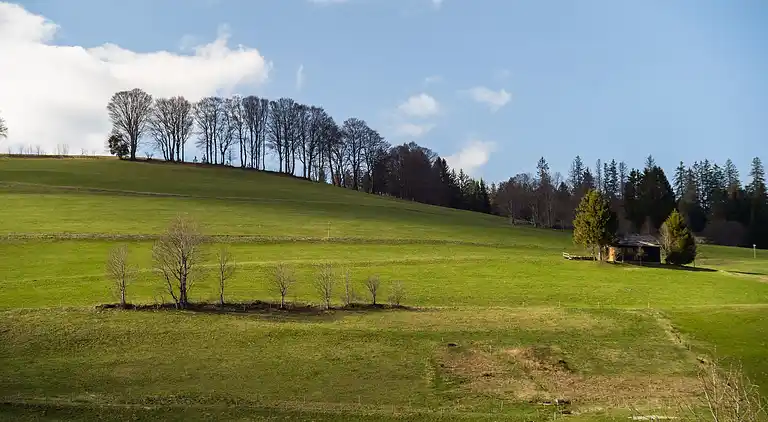 Apartment in Todtnauberg
