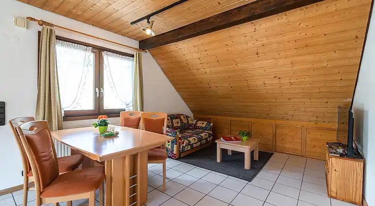 Apartment in Todtnauberg