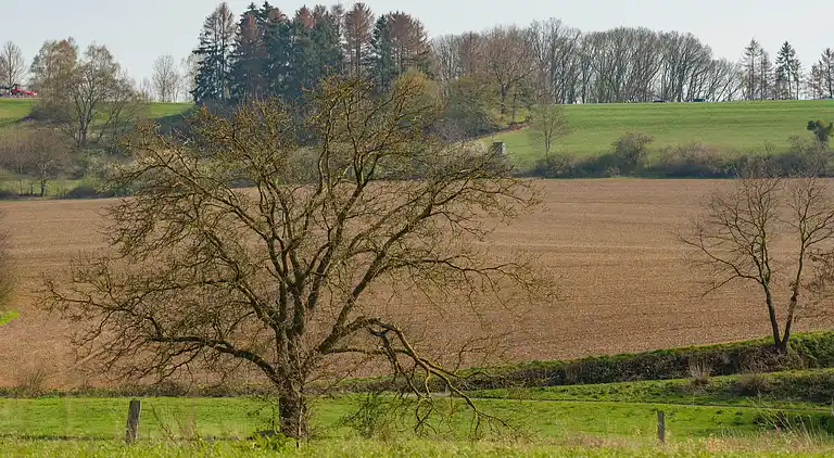 Holiday home in Emmerthal