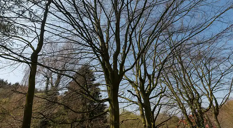 Holiday home in Wilhelmstal
