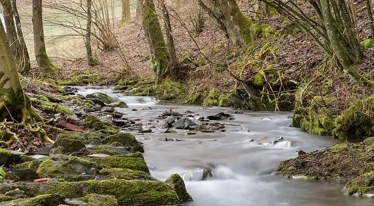 Holiday home in Nordenau