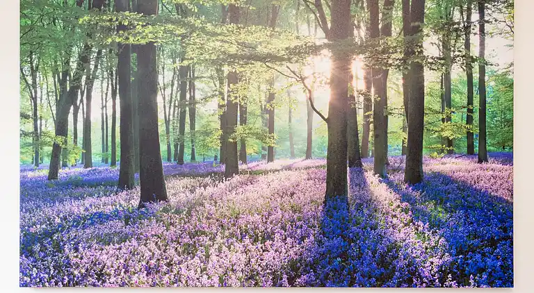 Ferielejlighed i Elpe