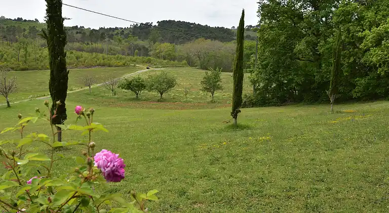 Ferienhaus in Cazals