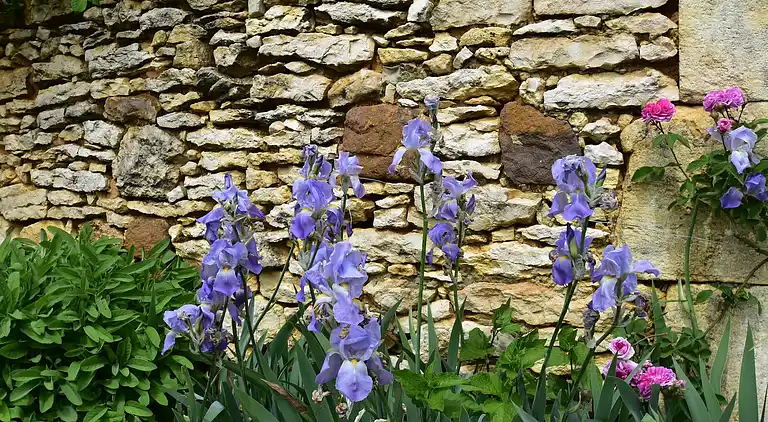 Ferienhaus in Cazals