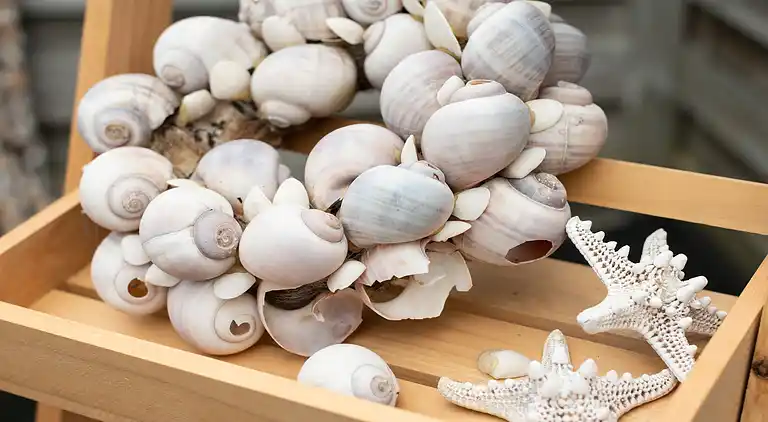 Ferielejlighed i Region Holland