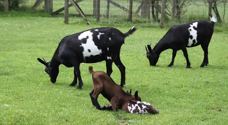 Holiday home in Enter