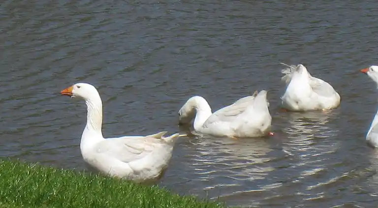 Holiday home in Enter