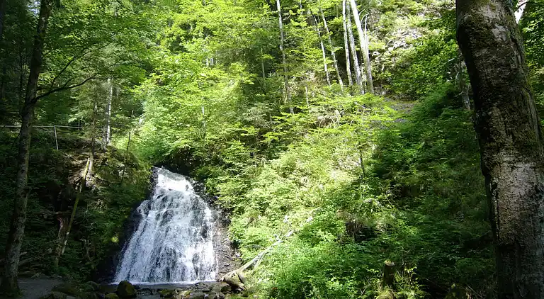 Holiday home in Todtmoos