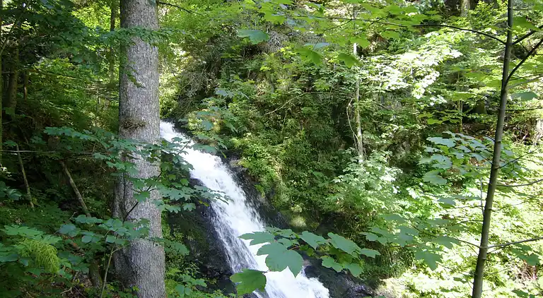 Holiday home in Todtmoos
