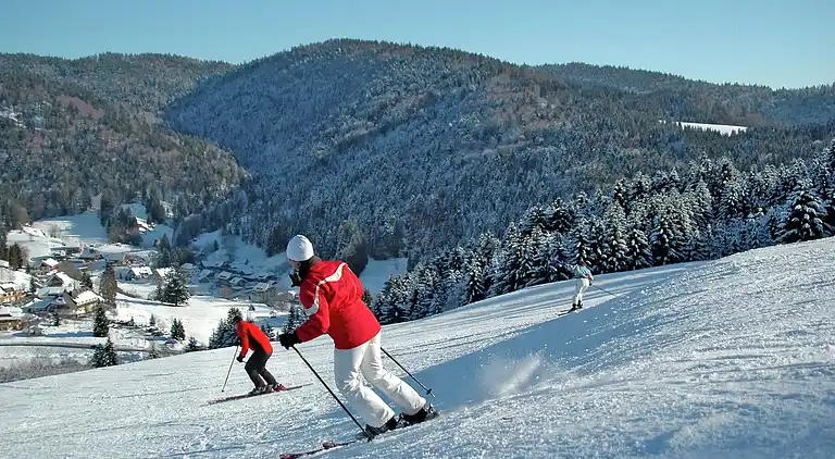 Holiday home in Todtmoos