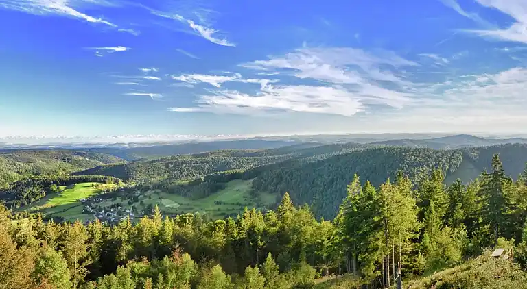 Holiday home in Todtmoos