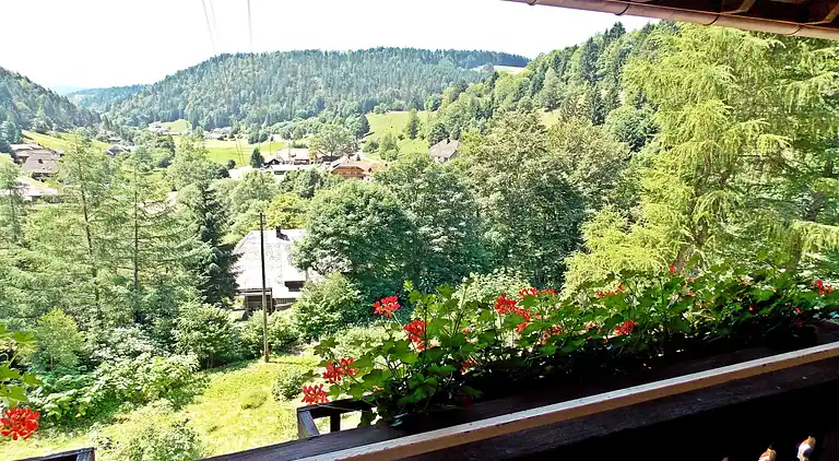 Holiday home in Todtmoos