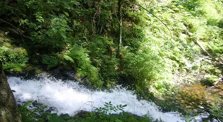 Holiday home in Todtmoos