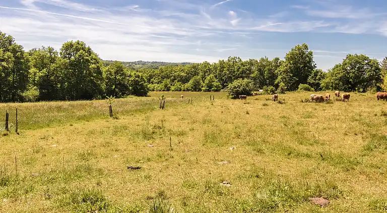 Villa in Vars-sur-Roseix
