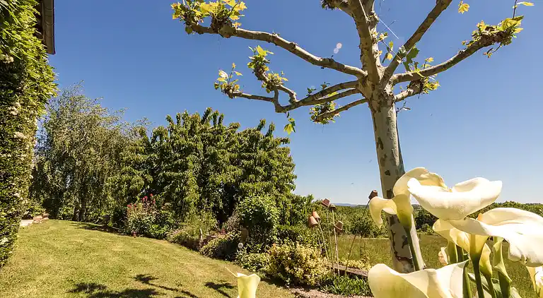 Villa in Vars-sur-Roseix