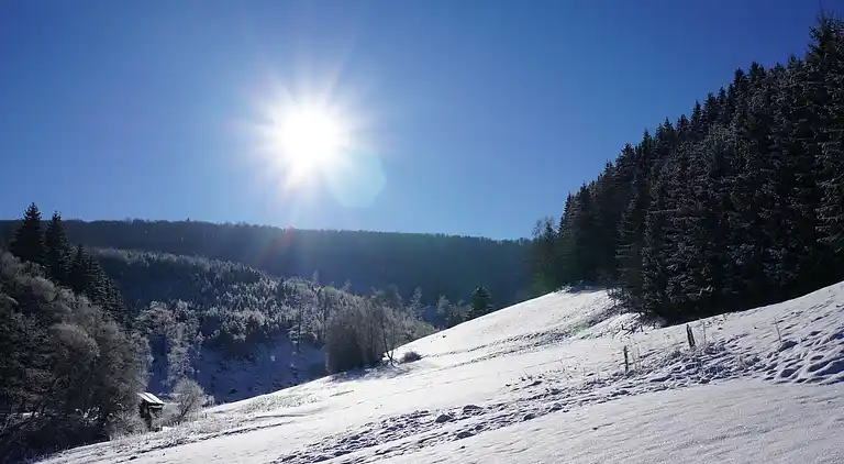 Holiday home in Züschen