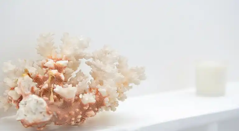 Holiday home in Dartmouth