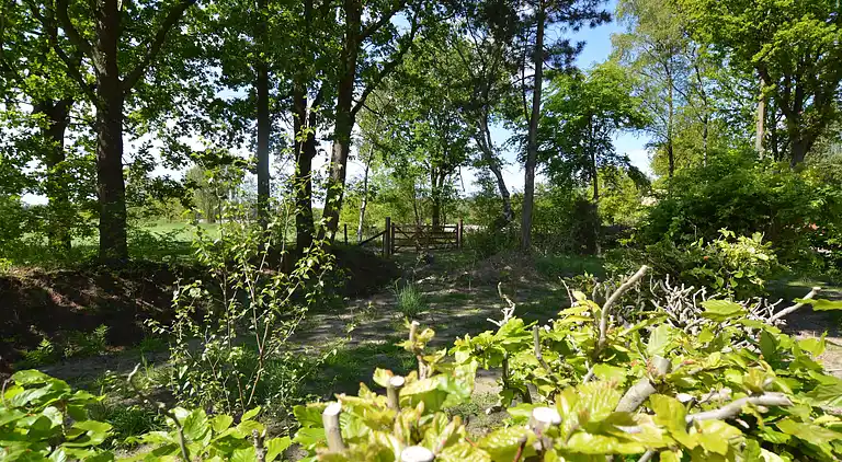 Holiday home in Baarle-Nassau