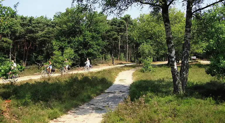 Gårdhus i Staphorst