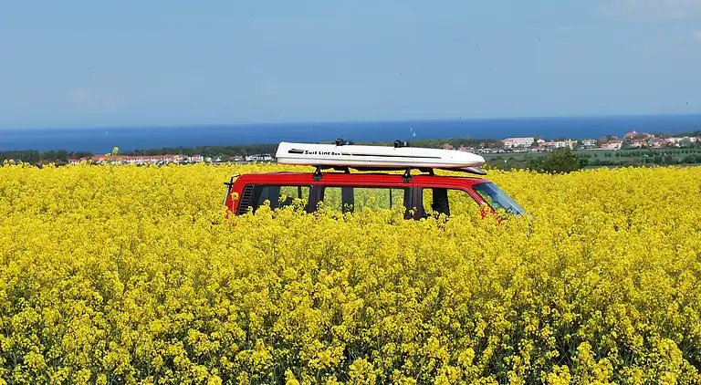 Apartment in Pepelow