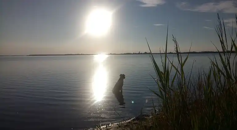 Apartment in Lischow