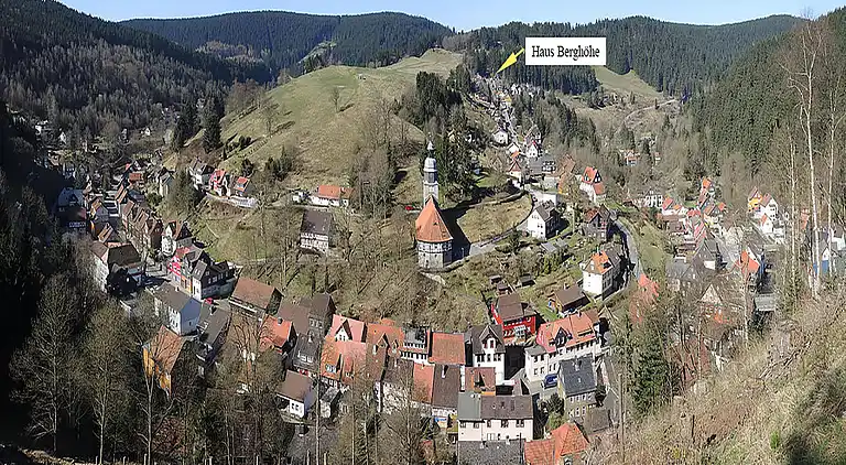 Appartement in Wildemann