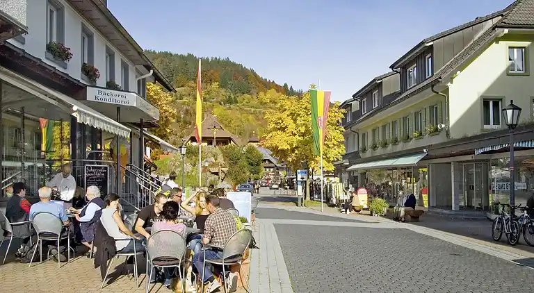 Holiday home in Todtmoos