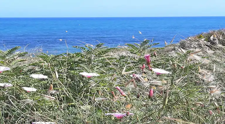 Ferielejlighed i Orihuela