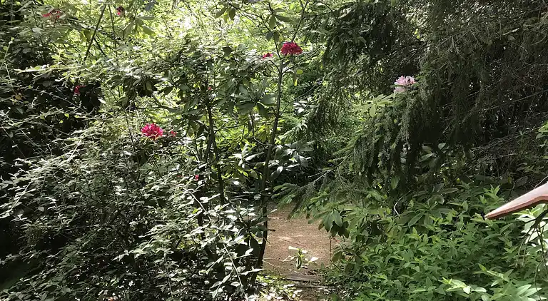 Holiday home in Cours-de-Pile