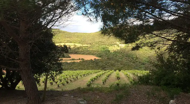 Sommerhus i Occitanie