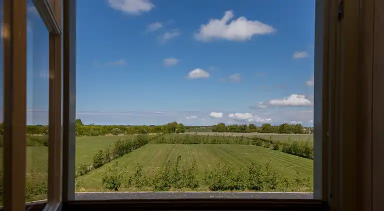 Sommerhus i Zoutelande