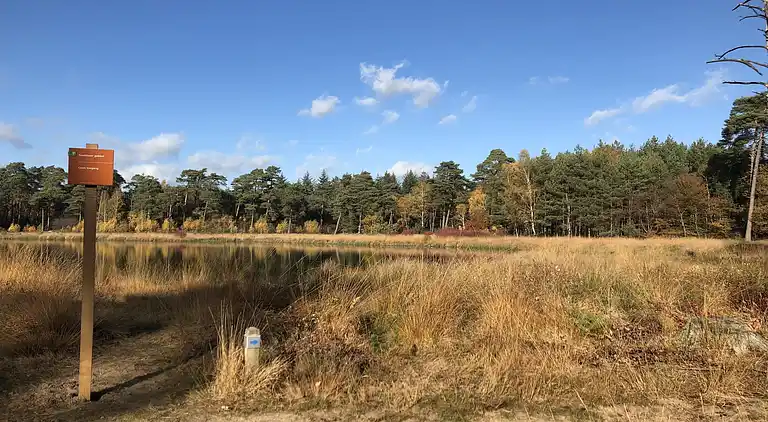 Villa in Rheezerveen