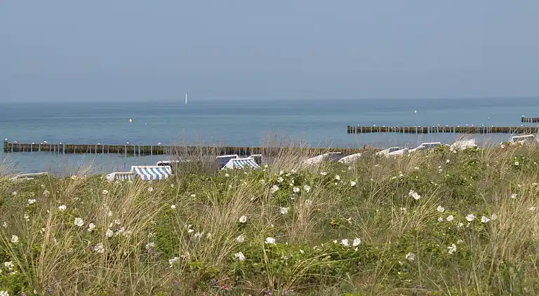 Ferielejlighed i Brodhagen