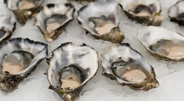 Ferielejlighed i Messanges