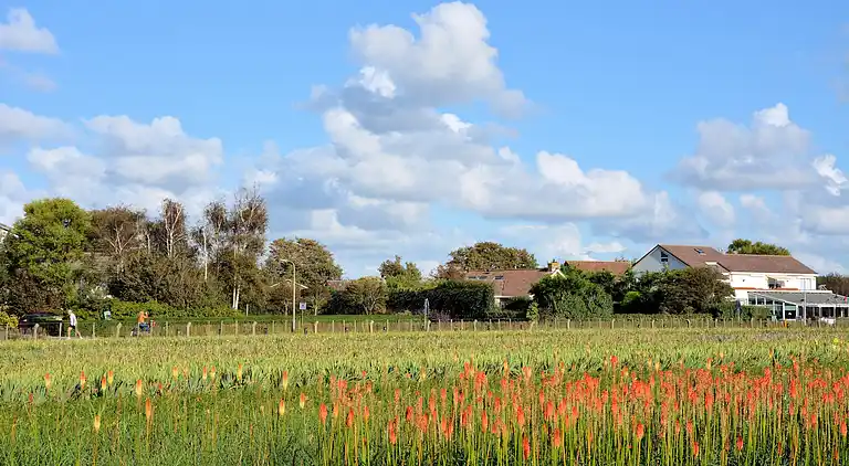 Ferielejlighed i Zuid-Holland