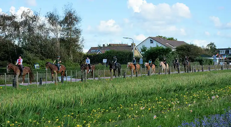 Ferielejlighed i Zuid-Holland