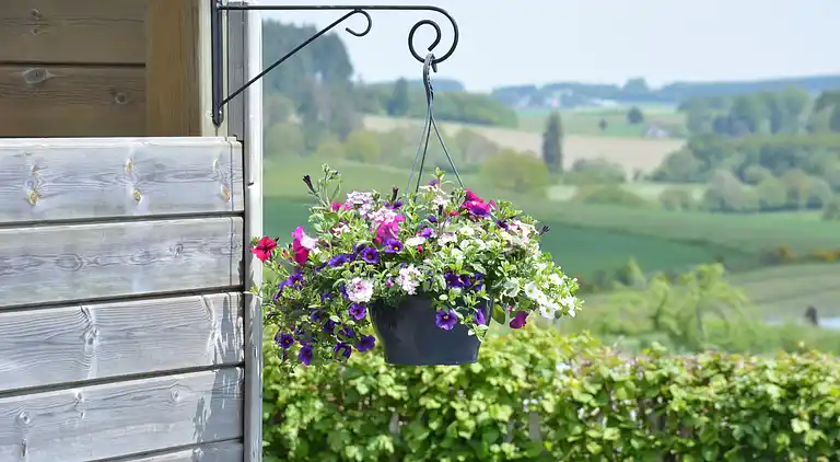 Sommerhus i Bastogne