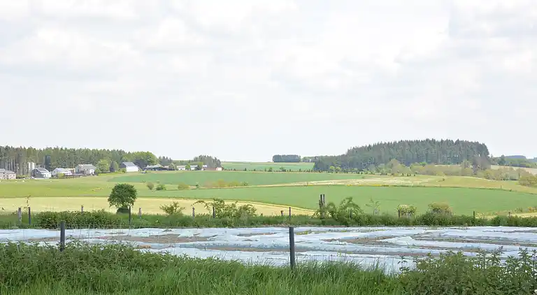 Sommerhus i Bastogne