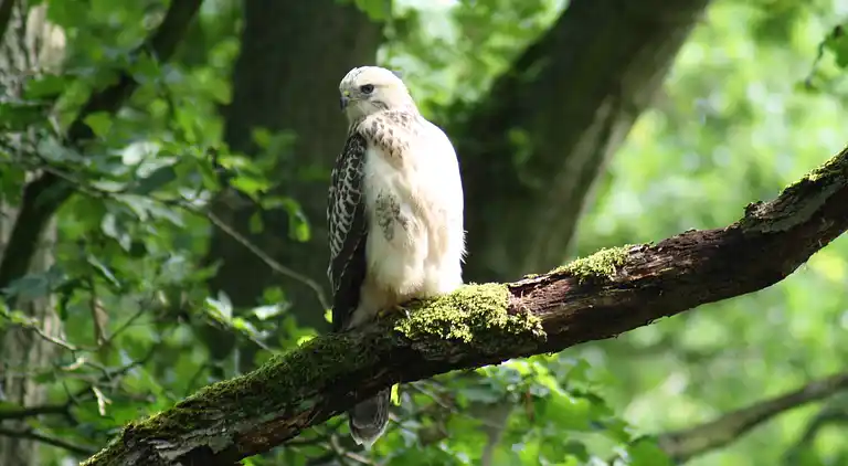 Ferielejlighed i Kühlungsborn