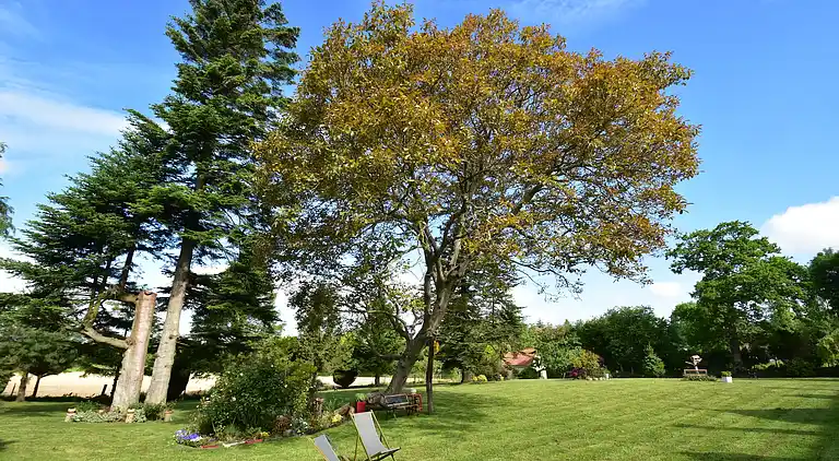 Sommerhus i Saint-Sauveur-Lendelin