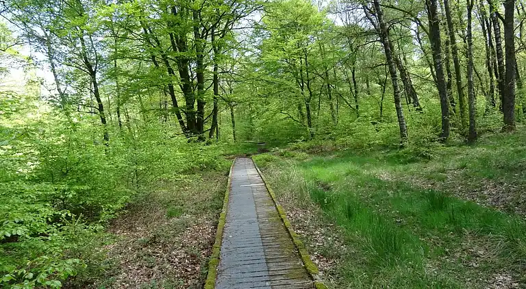 Sommerhus i Halenfeld