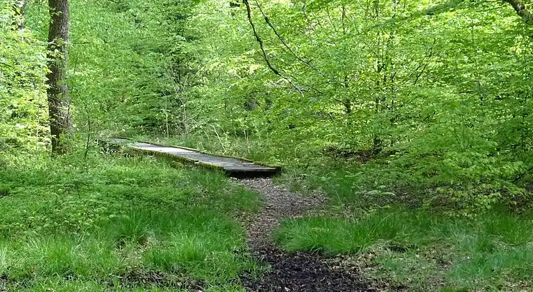 Sommerhus i Halenfeld