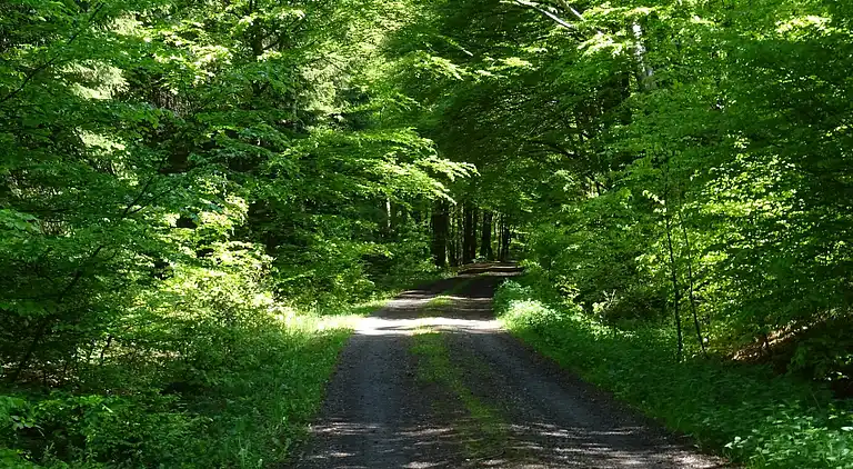 Sommerhus i Halenfeld