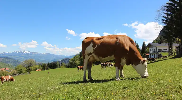 Casa vacanze in Sankt Johann