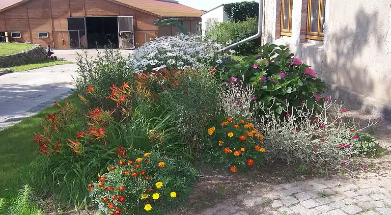 Farm house in Kröpelin